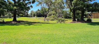 A sunny park with picnic tables and families enjoying a celebration outdoors.