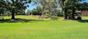 A serene park setting with families enjoying a picnic together.