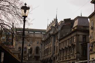 A row of historical European buildings with ornate architectural details is framed by a bare tree branch and street lamps in a city setting.
