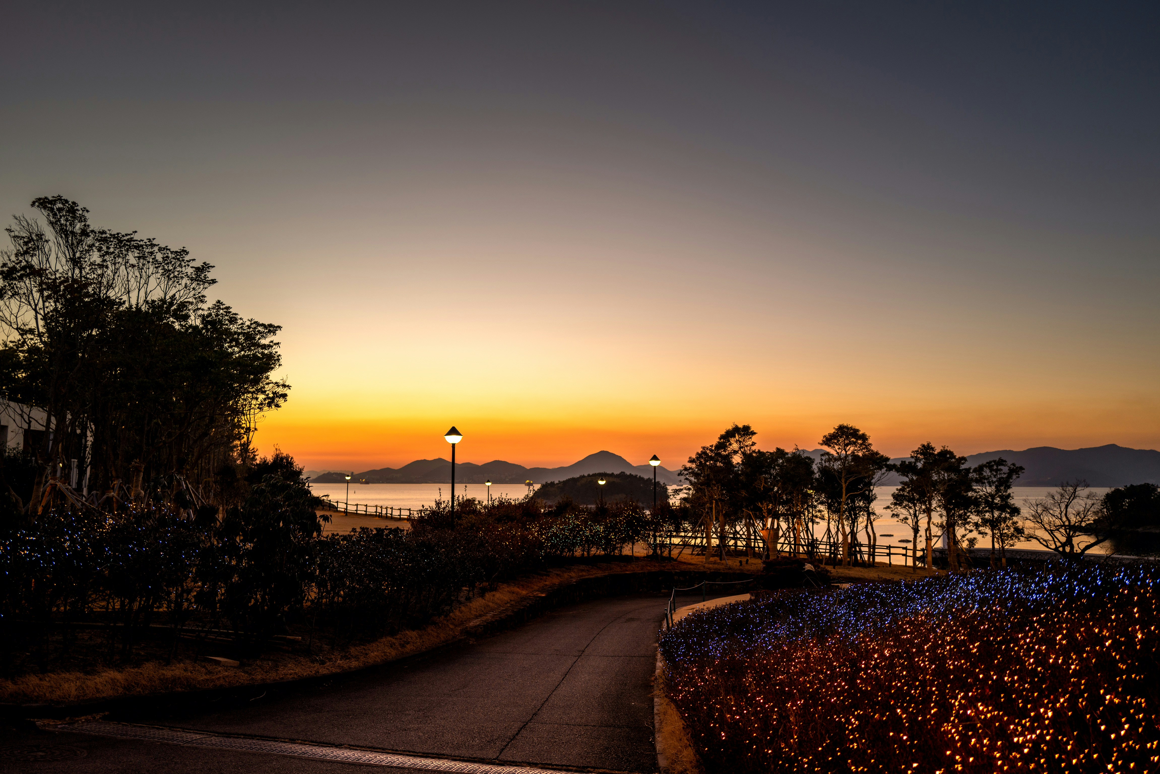 silhouette of trees and buildings during sunset