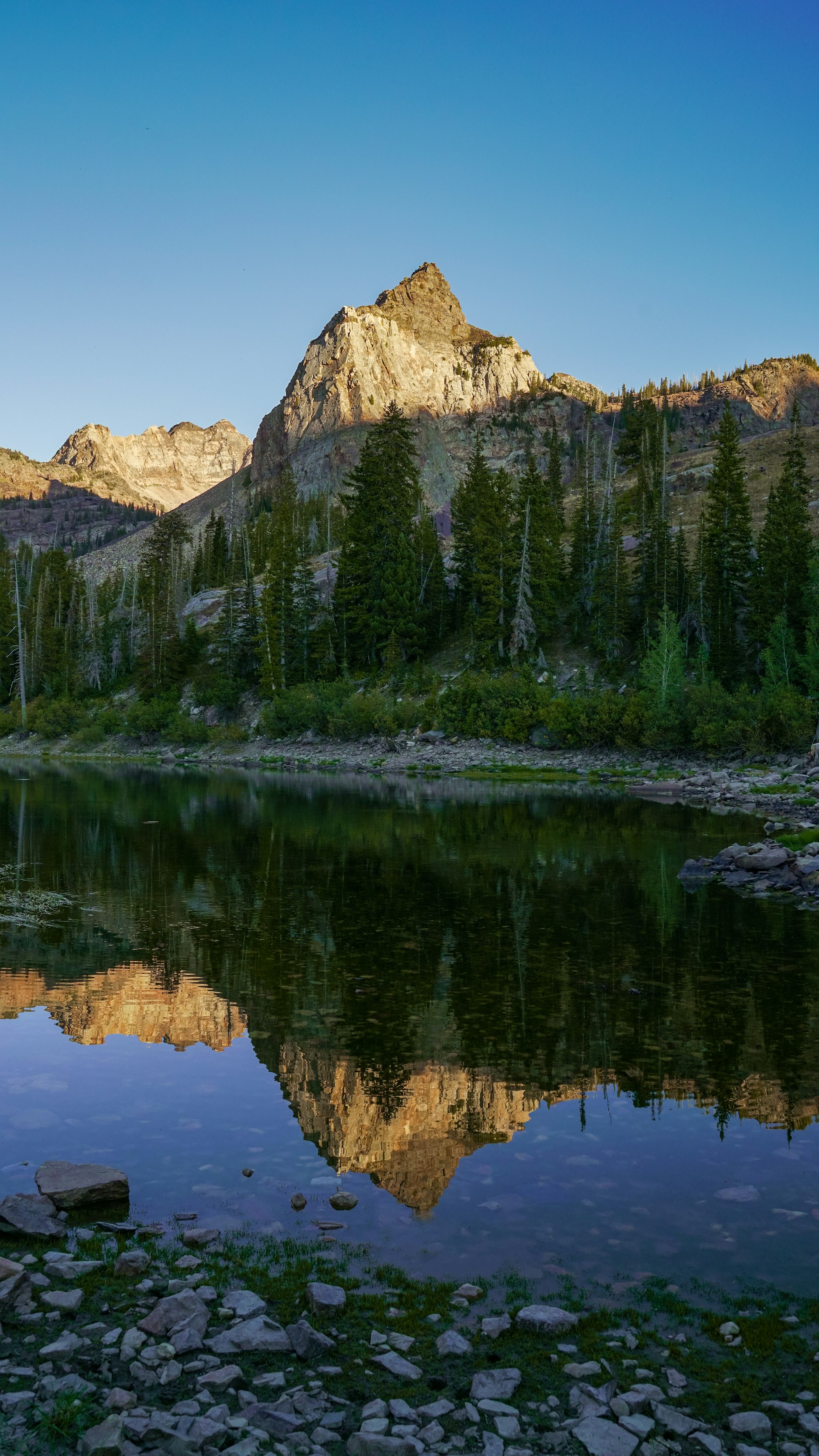 Wasatch mountains in summer