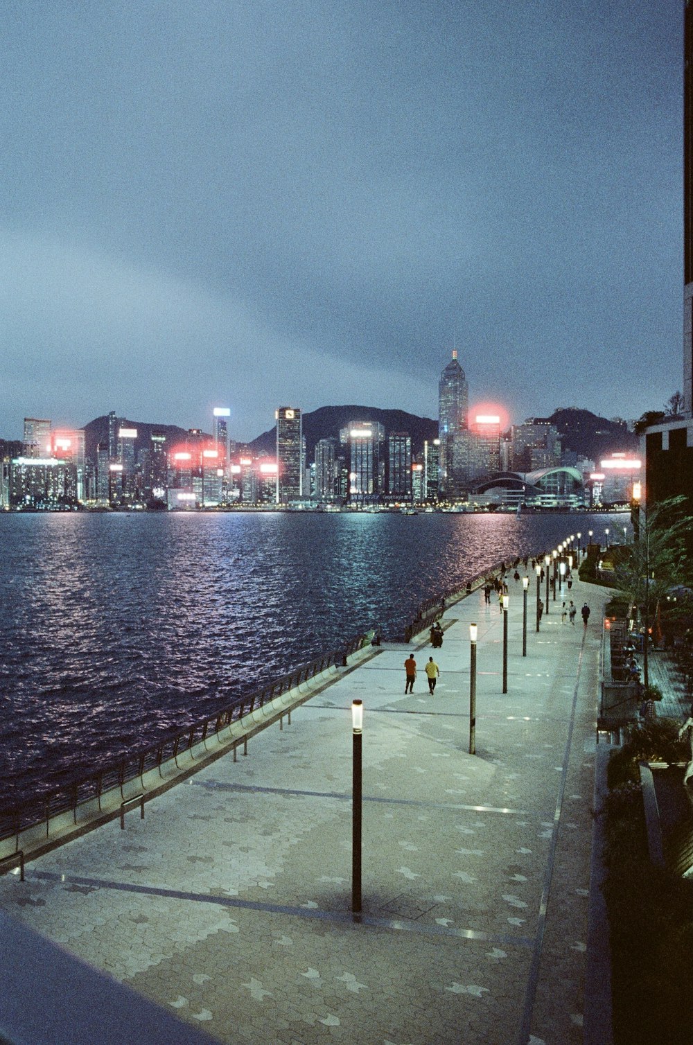 body of water near city buildings during night time