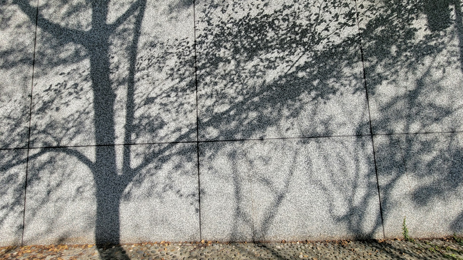 An aerial shot capturing the sharp shadows of tree branches crisscrossing over a sunlit concrete pavement, creating a complex pattern that invites a closer look.