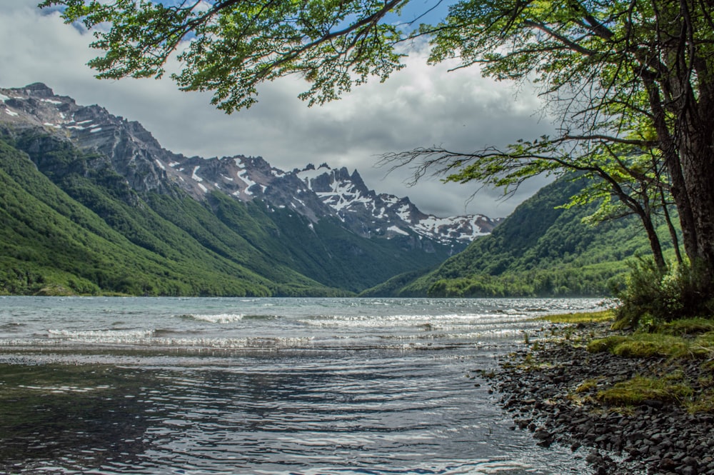 green and white mountains beside body of water under white clouds during daytime