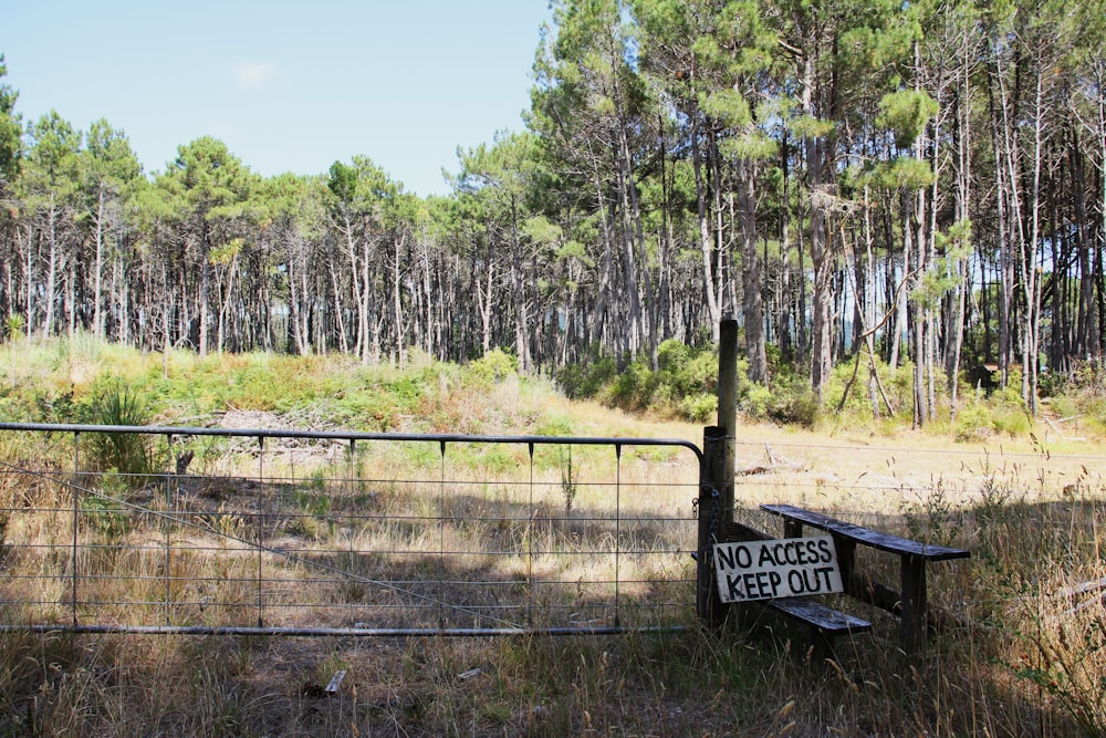 brown wooden fence near green trees during daytime