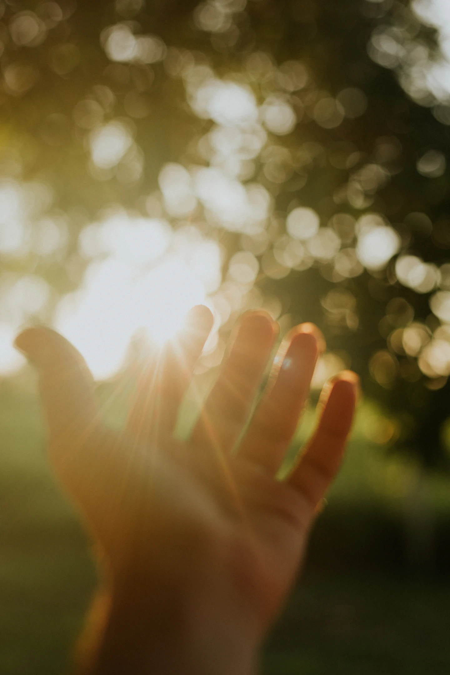 A hand catching warm sunlight