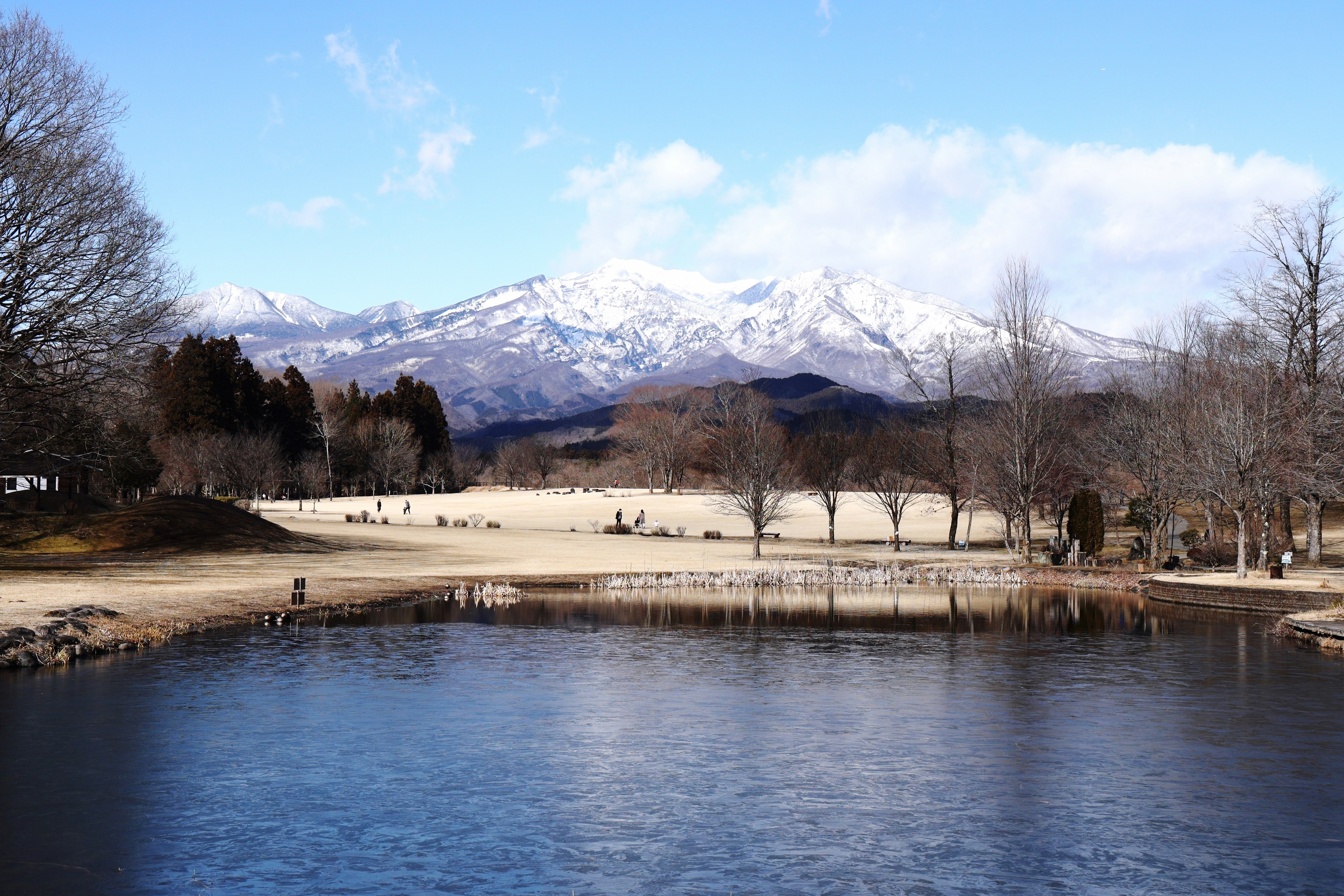 Photo by z_deng