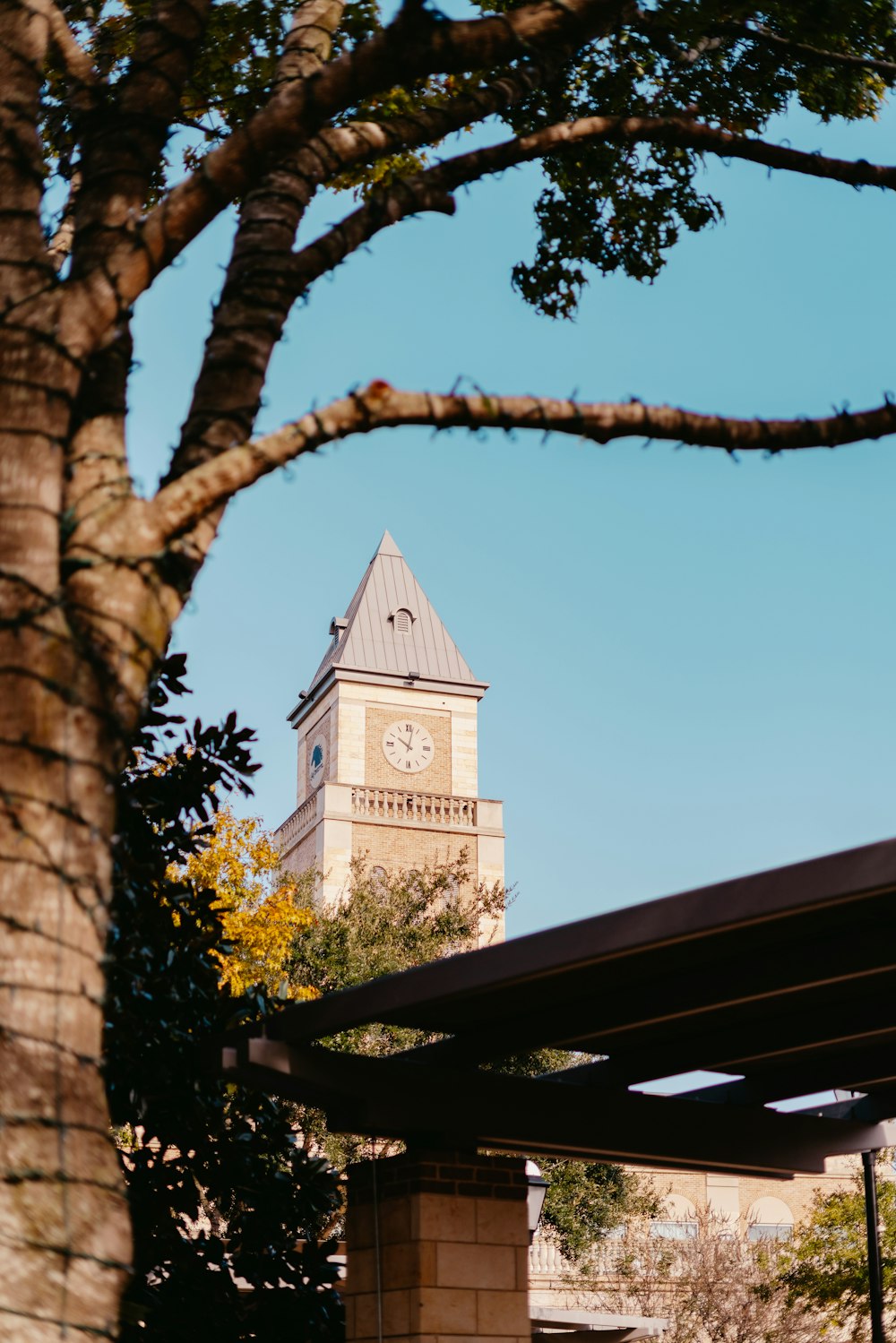 brown and white tower clock