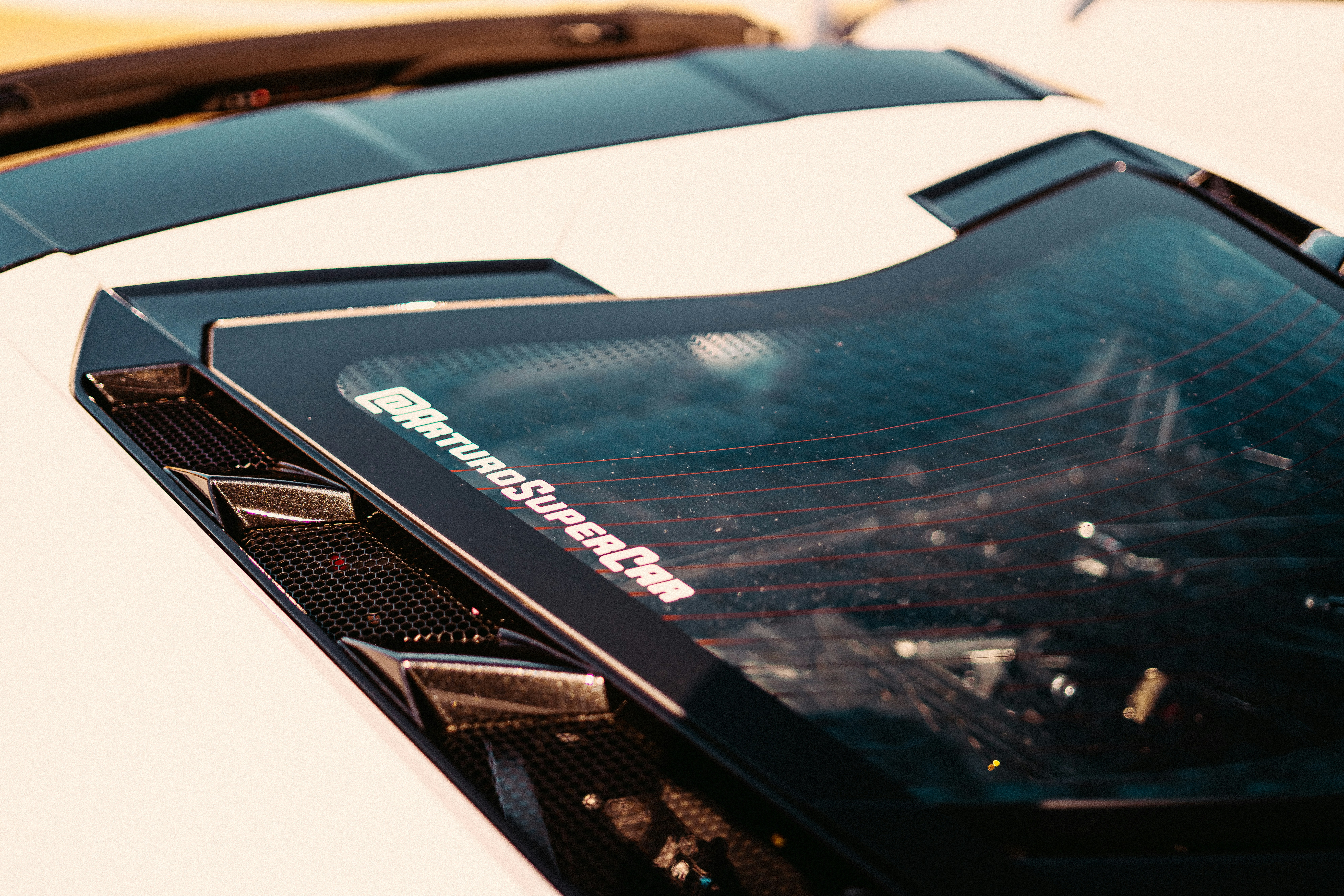 Photo by anewevisual