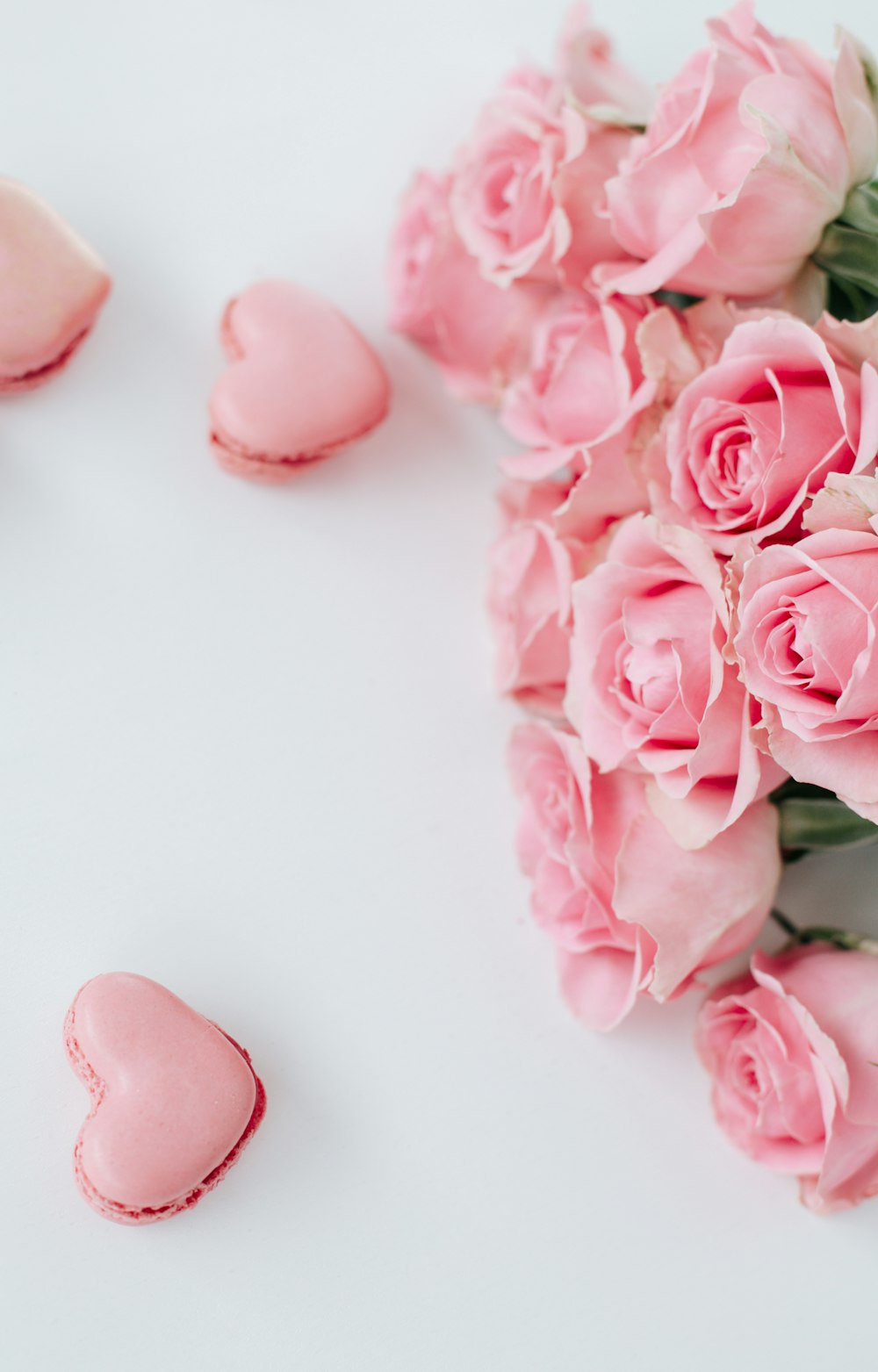 pink roses on white table