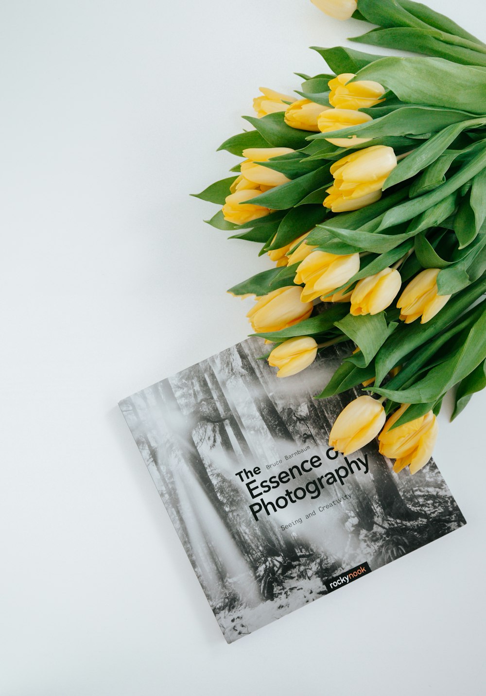 yellow tulips bouquet on white surface