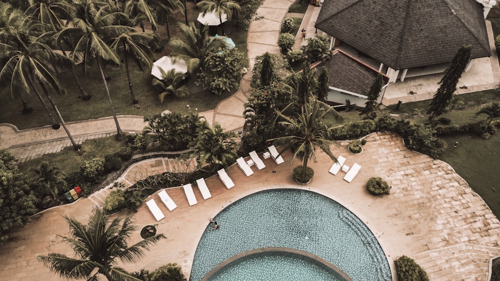 green outdoor pool near green trees during daytime