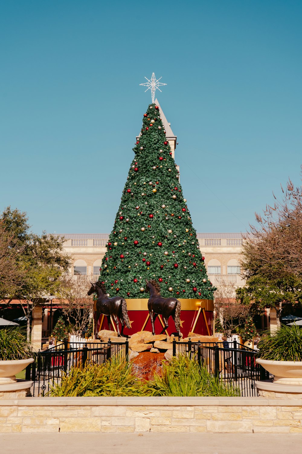 green christmas tree with red baubles near white concrete building during daytime