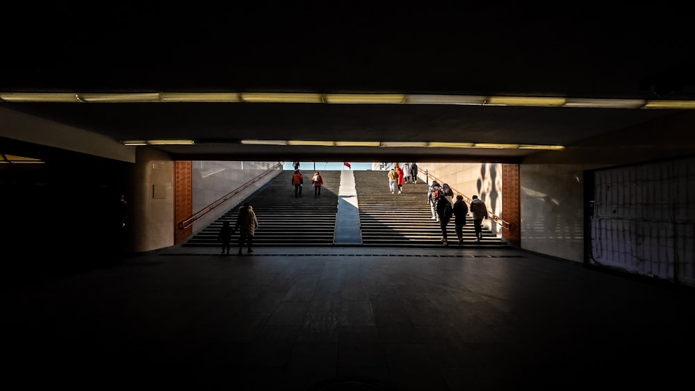 people walking on gray concrete floor