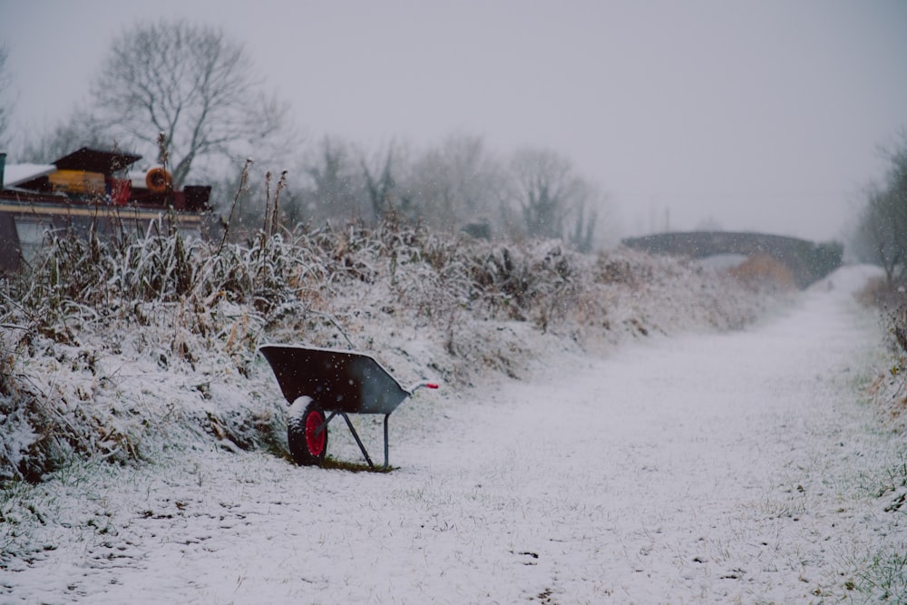 black and red umbrella on snow covered ground