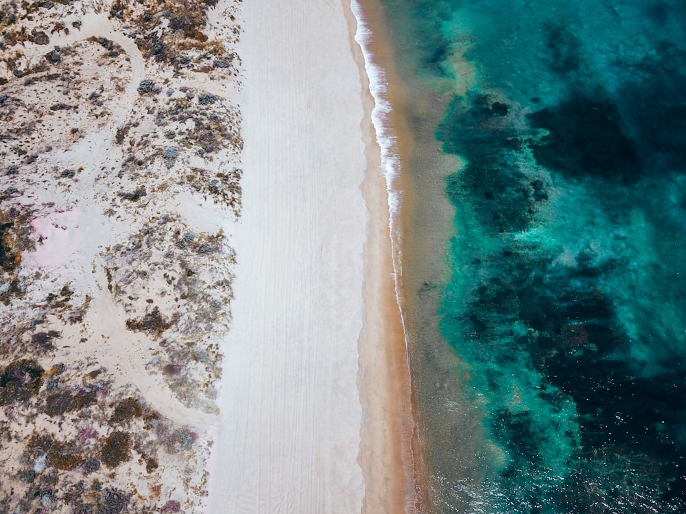 aerial view of beach during daytime