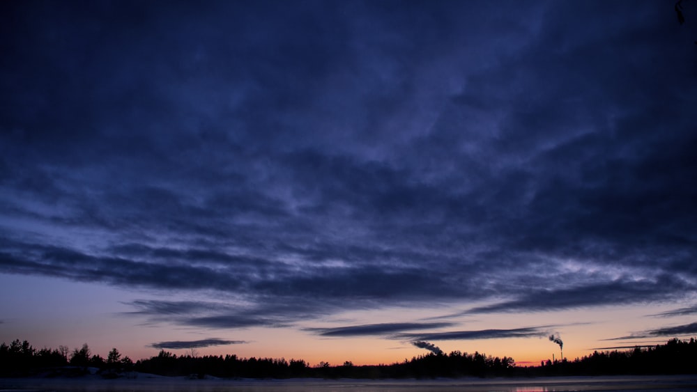 silhouette of trees under cloudy sky during sunset