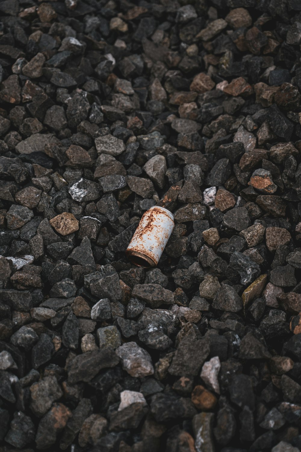 brown and white plastic cup on brown and black stones