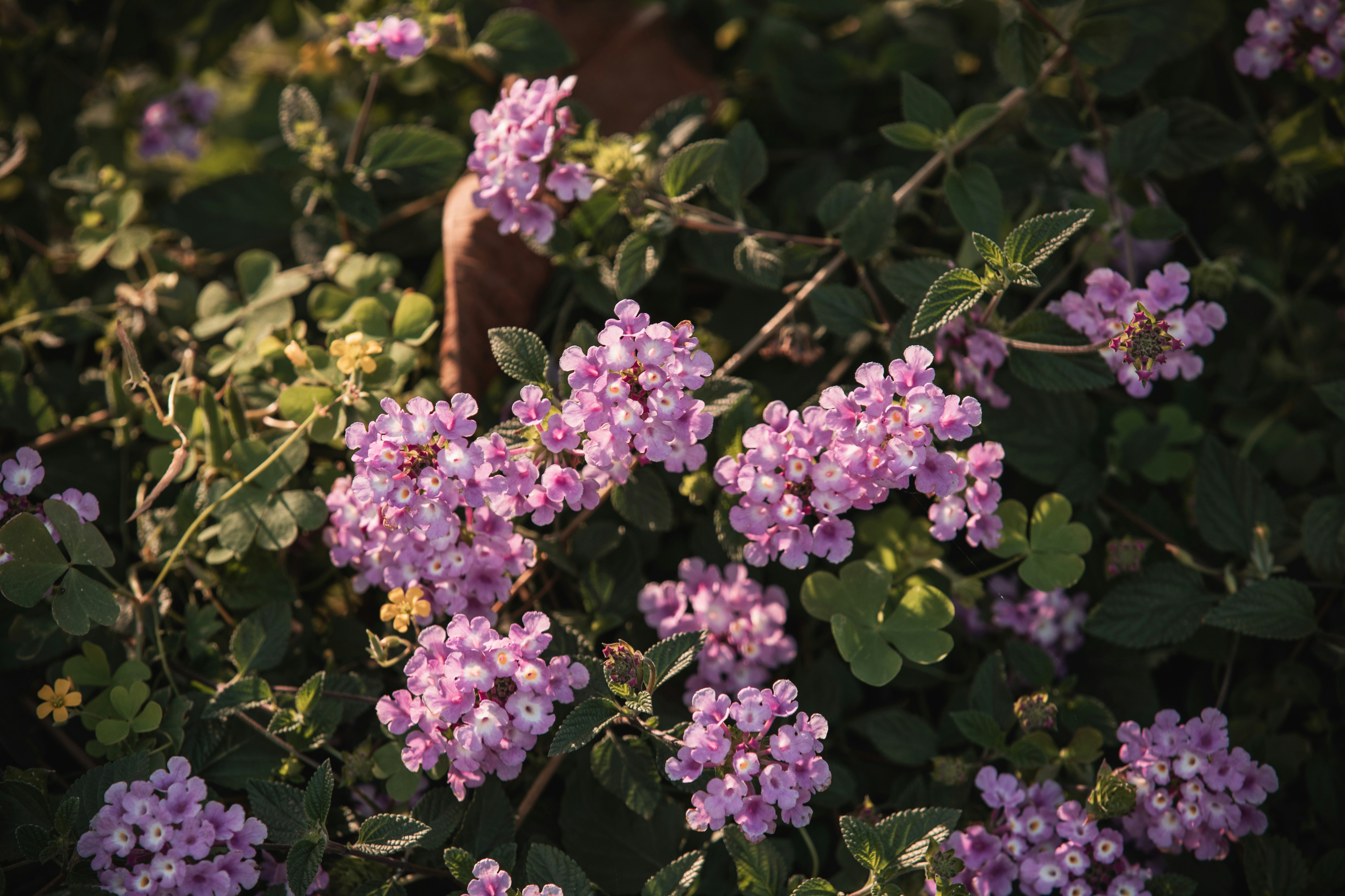 Photo by color0911