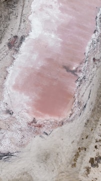 Aerial view of a pink-hued body of water surrounded by white mineral deposits and patches of sparse vegetation. The landscape appears arid and barren, with natural textures creating a striking contrast between the colors.