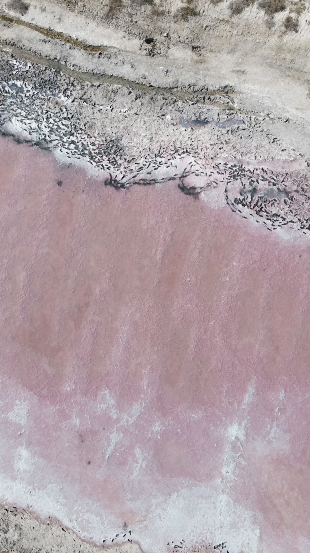 aerial view of ocean waves