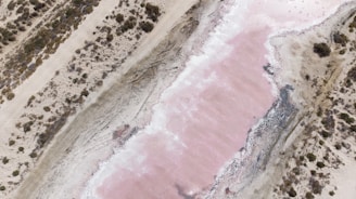 Aerial view of a pink salt lake surrounded by sandy terrain and sparse vegetation. The lake has a distinct pink hue, with whitish salt deposits around its edges. Patchy shrubs and dry grassland are visible on the left and right sides of the image.