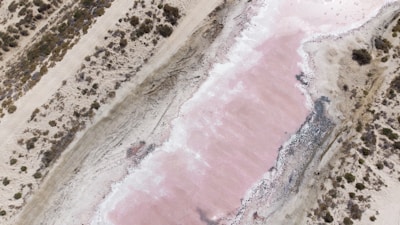 Aerial view of a pink salt lake surrounded by sandy terrain and sparse vegetation. The lake has a distinct pink hue, with whitish salt deposits around its edges. Patchy shrubs and dry grassland are visible on the left and right sides of the image.