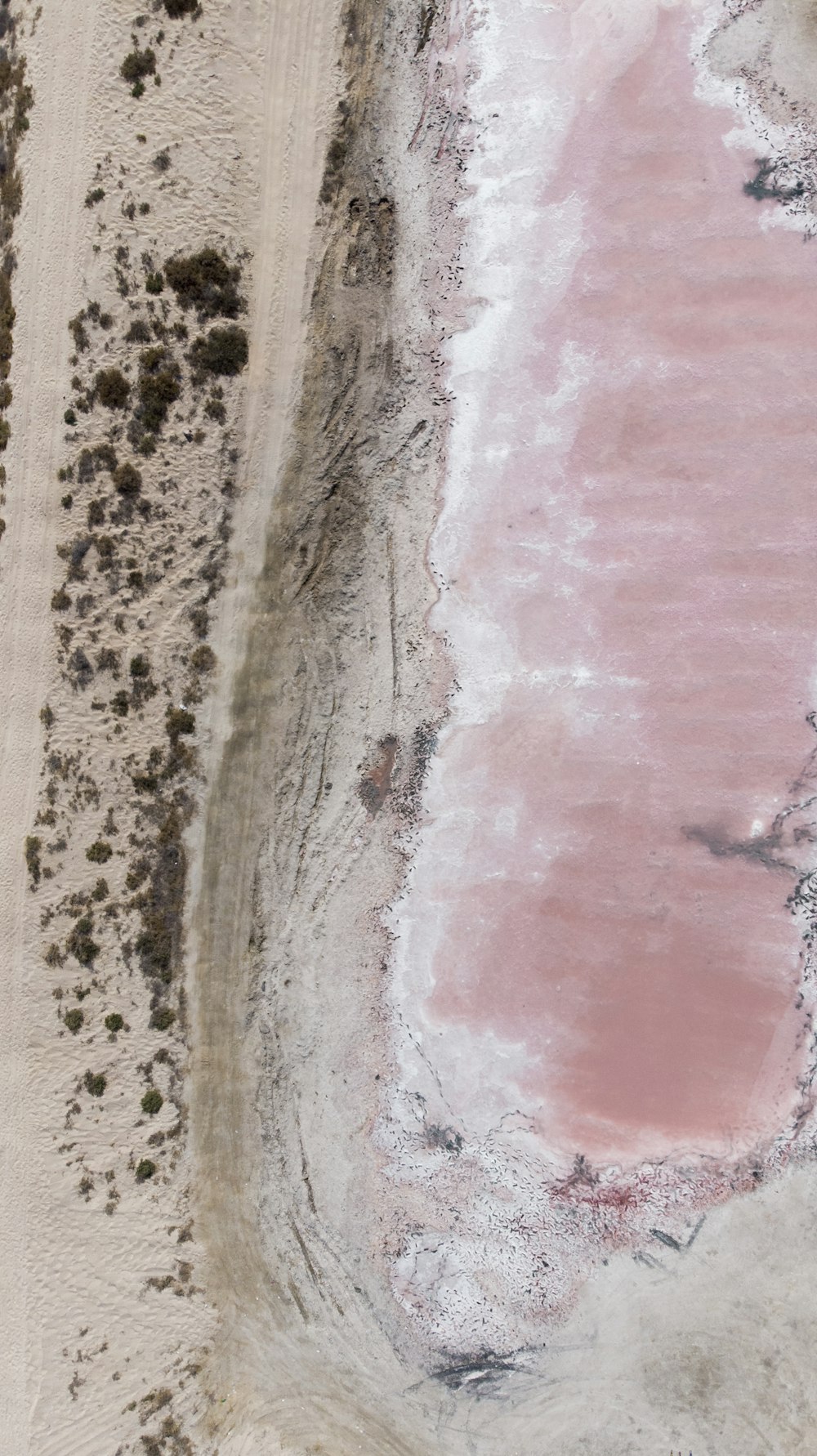 aerial view of beach during daytime