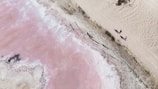 aerial view of beach during daytime