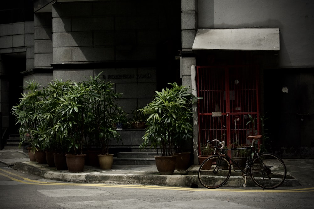 red bicycle parked beside green plants