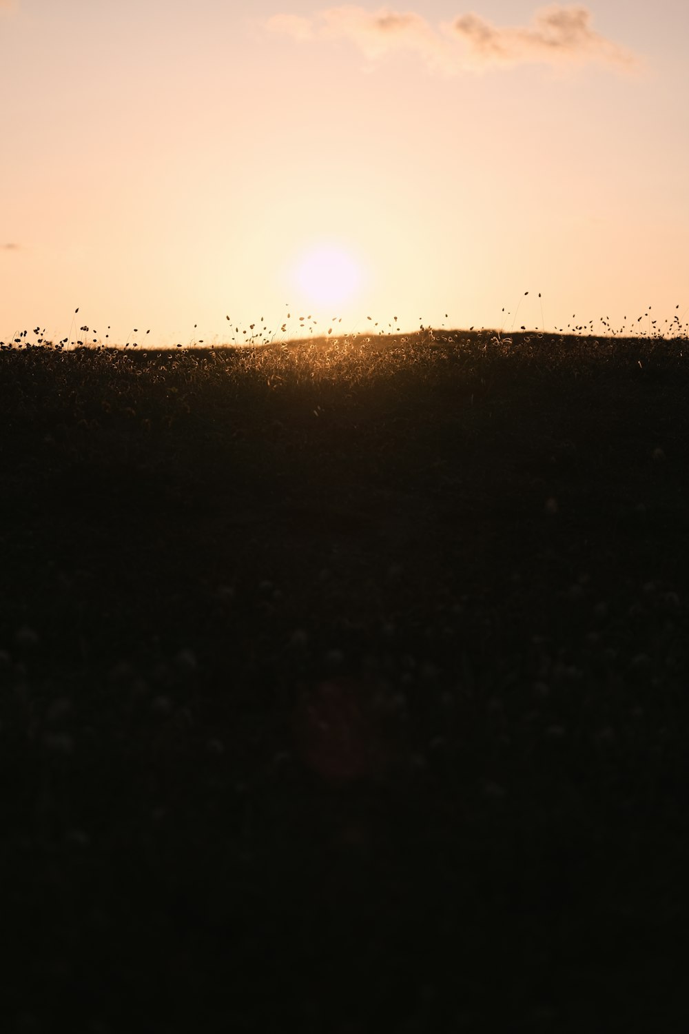 water droplets on glass window during daytime