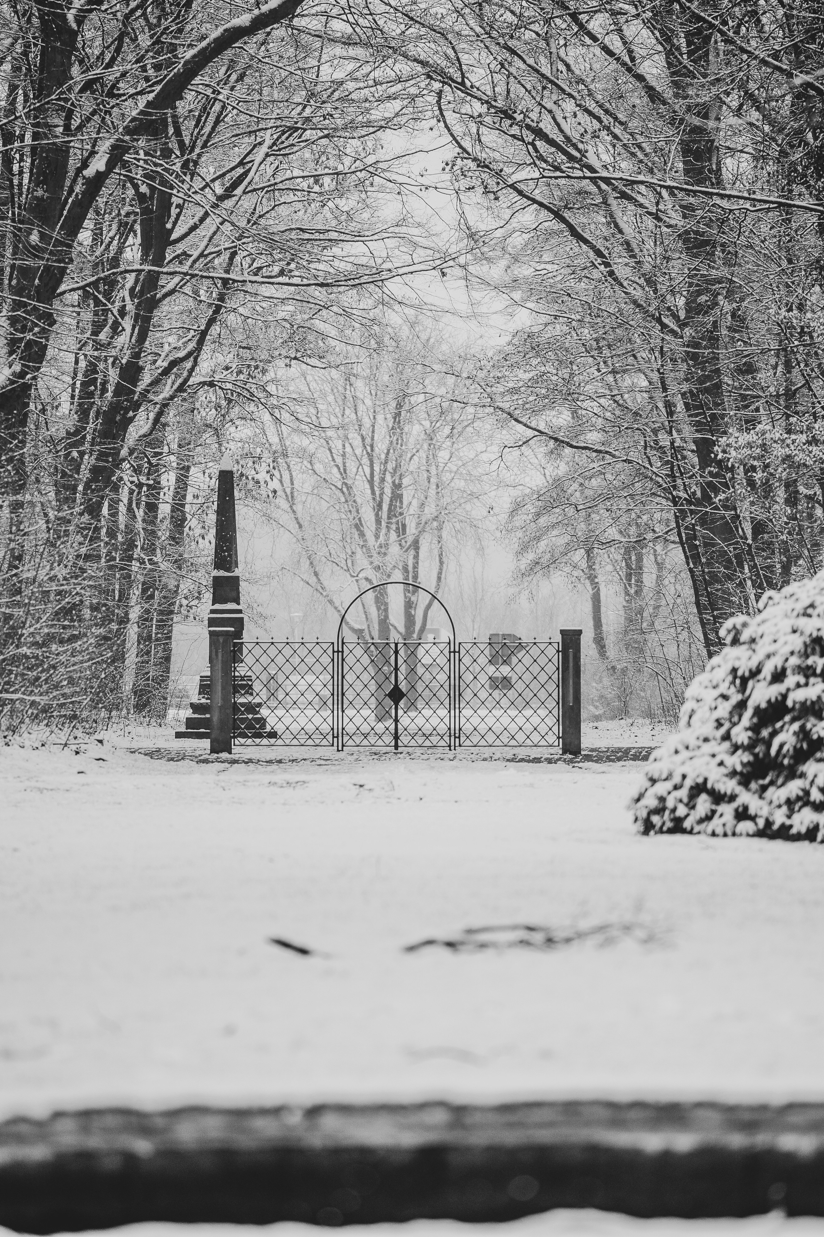 Photo by omarvellous14