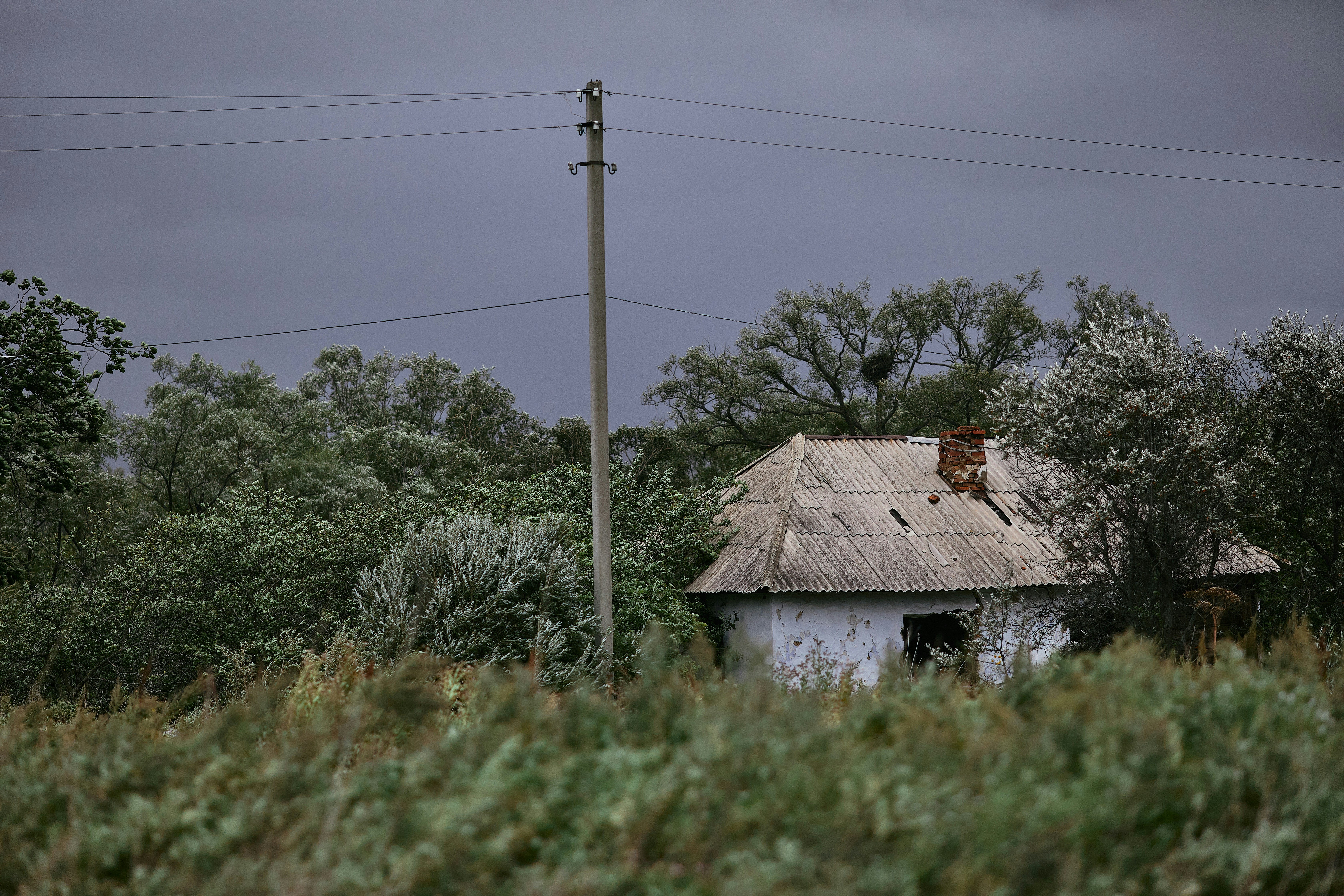Casa blanca y marrón cerca de árboles verdes bajo el cielo blanco durante el día