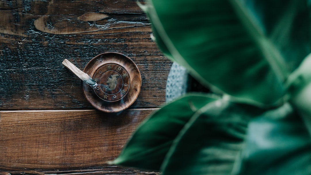 green leaf plant on brown wooden table