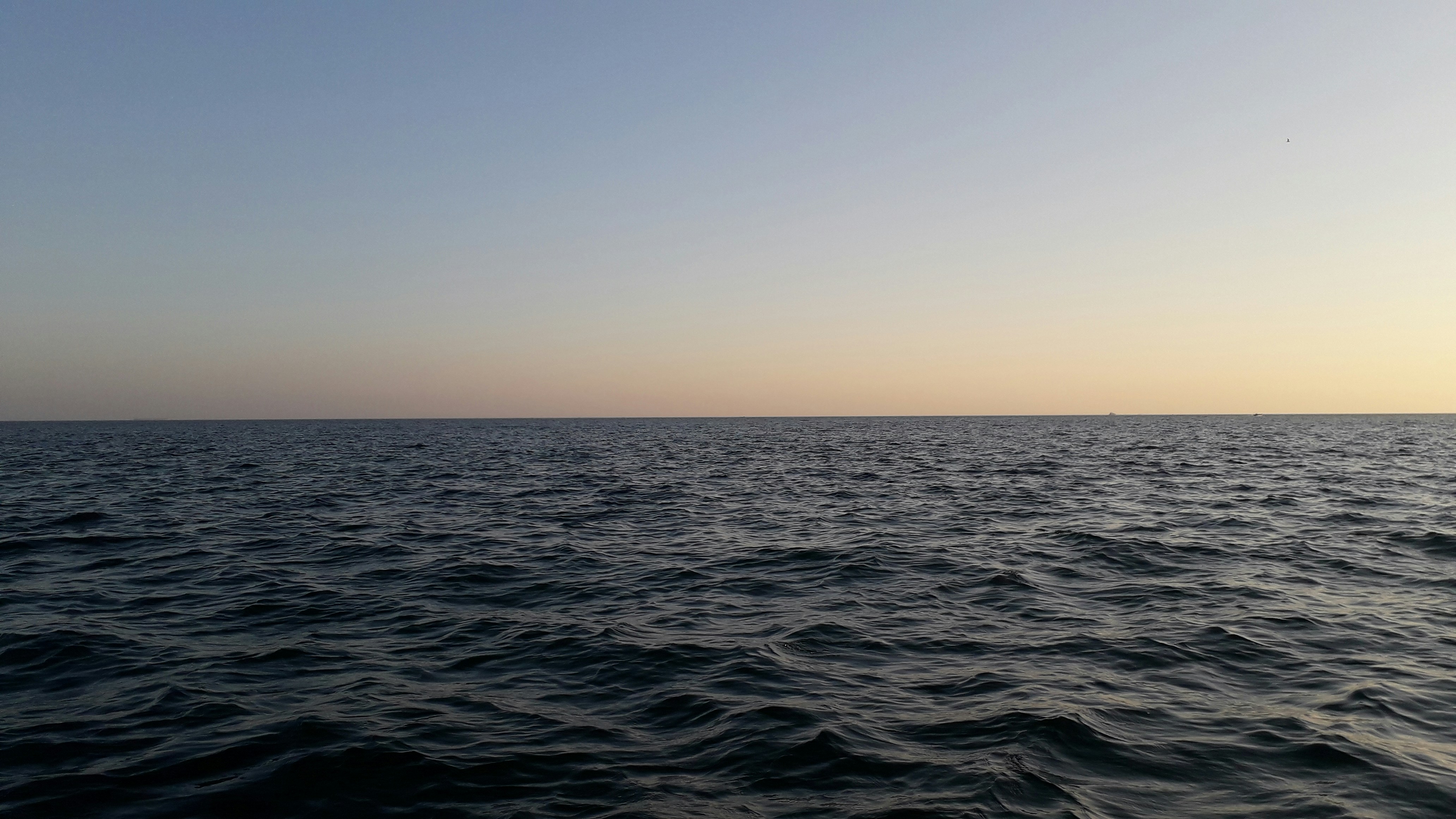 Photo by mustafa_fasial