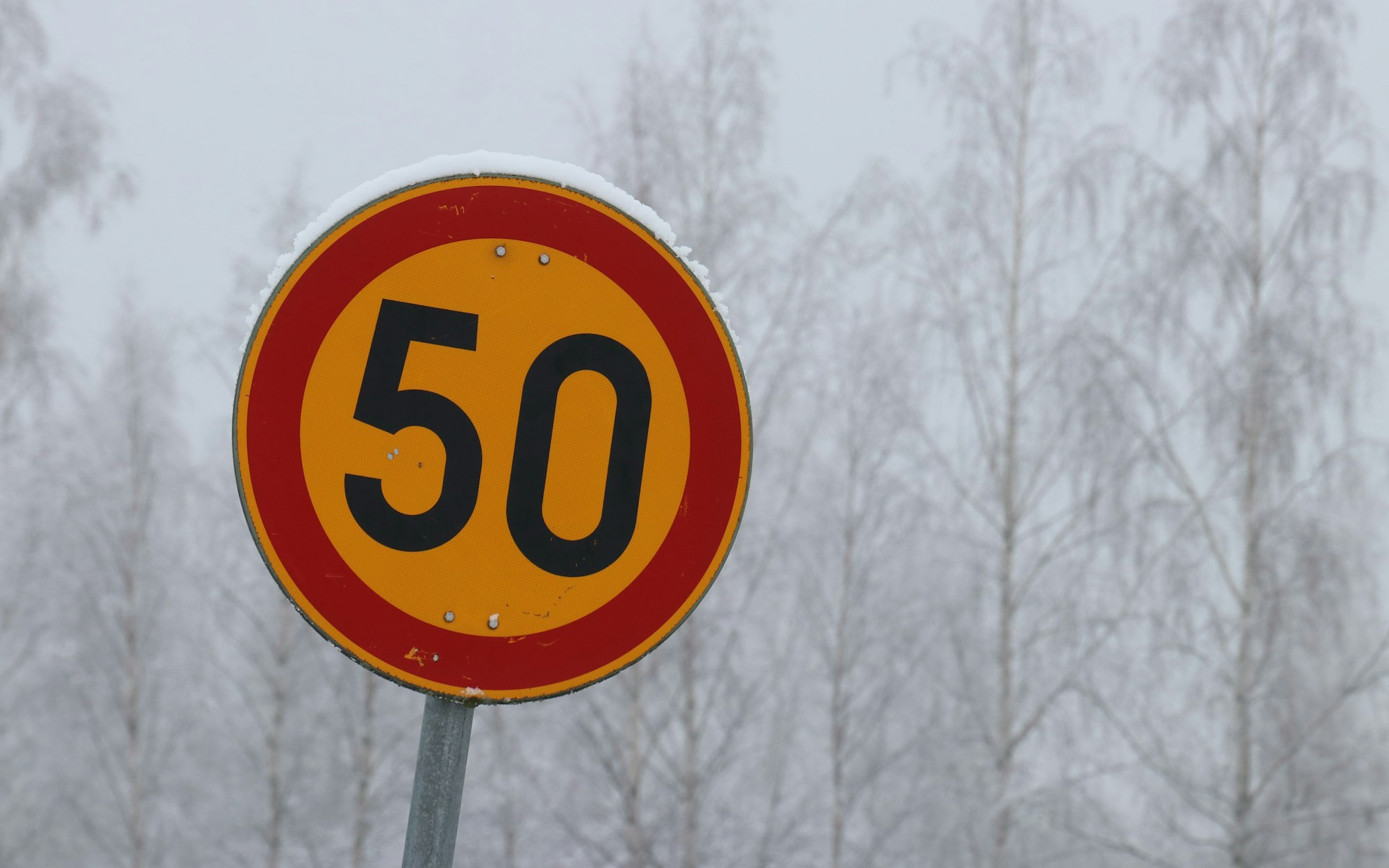 A yellow street sign reads "50" in a snowy forest.