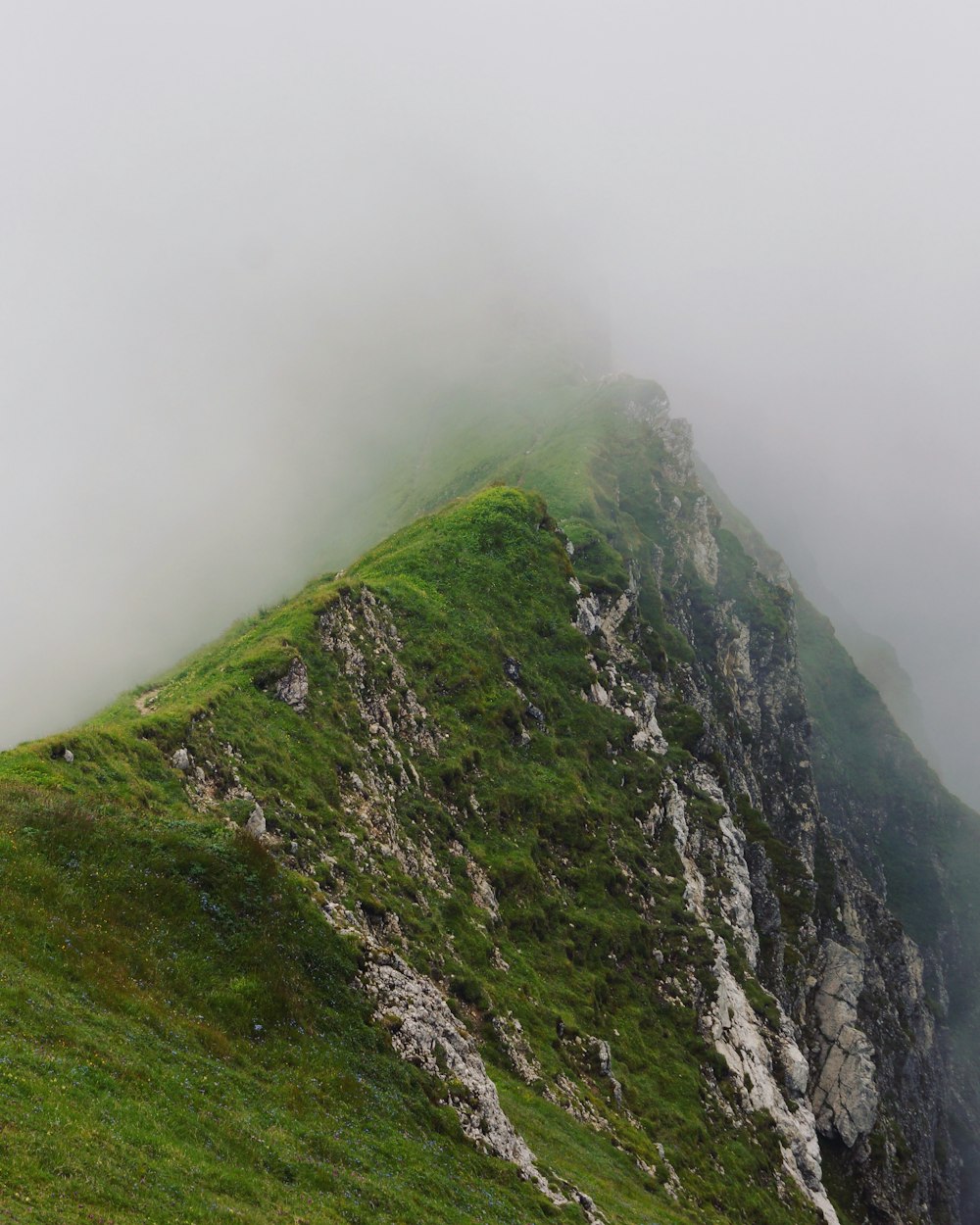 green grass covered mountain under white sky during daytime