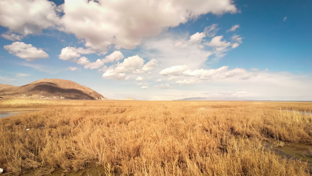 brown grass field near brown mountain under white clouds and blue sky during daytime