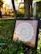 Elegant framed mandala artwork hanging on a minimalist wall with soft natural light.