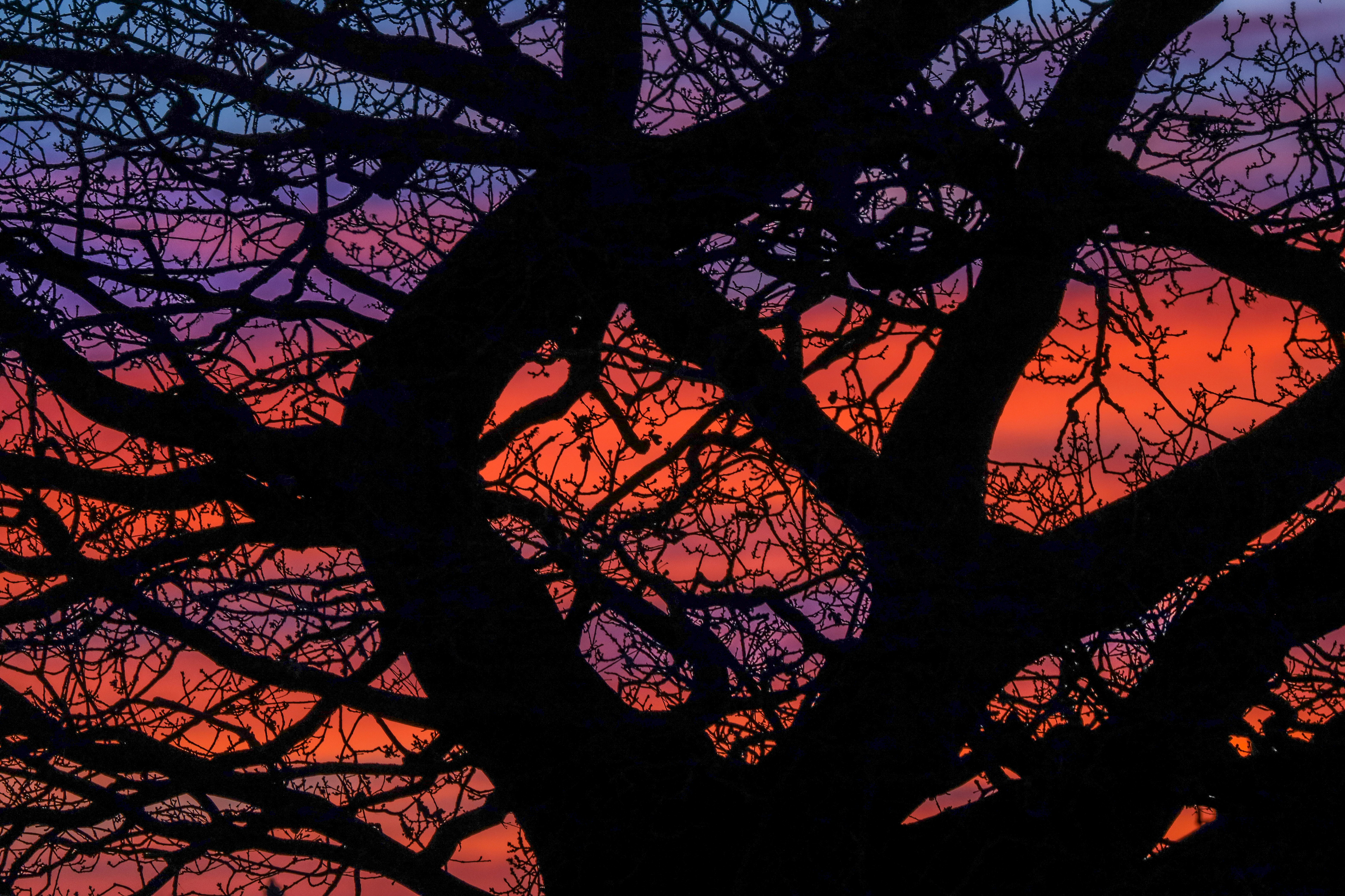 Photo by grievek1610begur