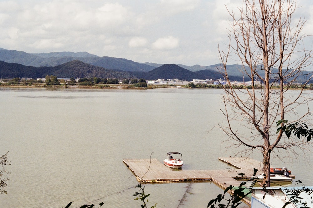 white boat on body of water during daytime