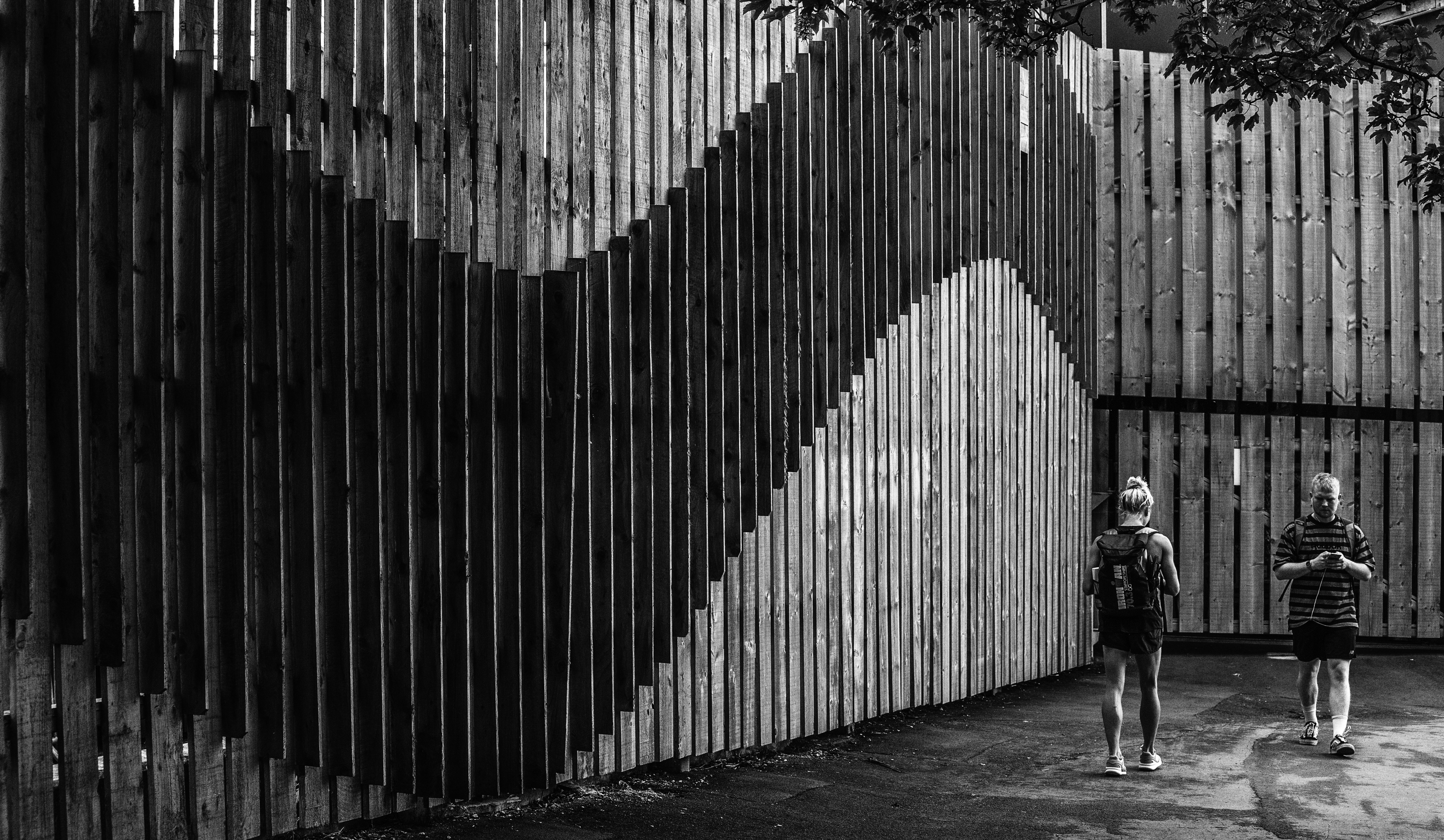 Photo by horacegoodenough