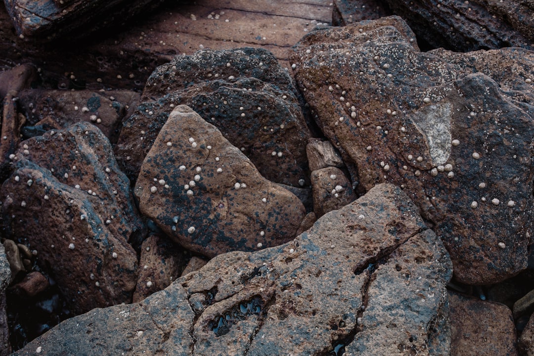 black and gray stone fragments