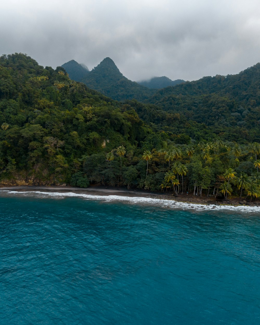 green trees on island during daytime