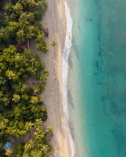 A peaceful tropical beach seen from the air, inviting travelers to unwind and relax.