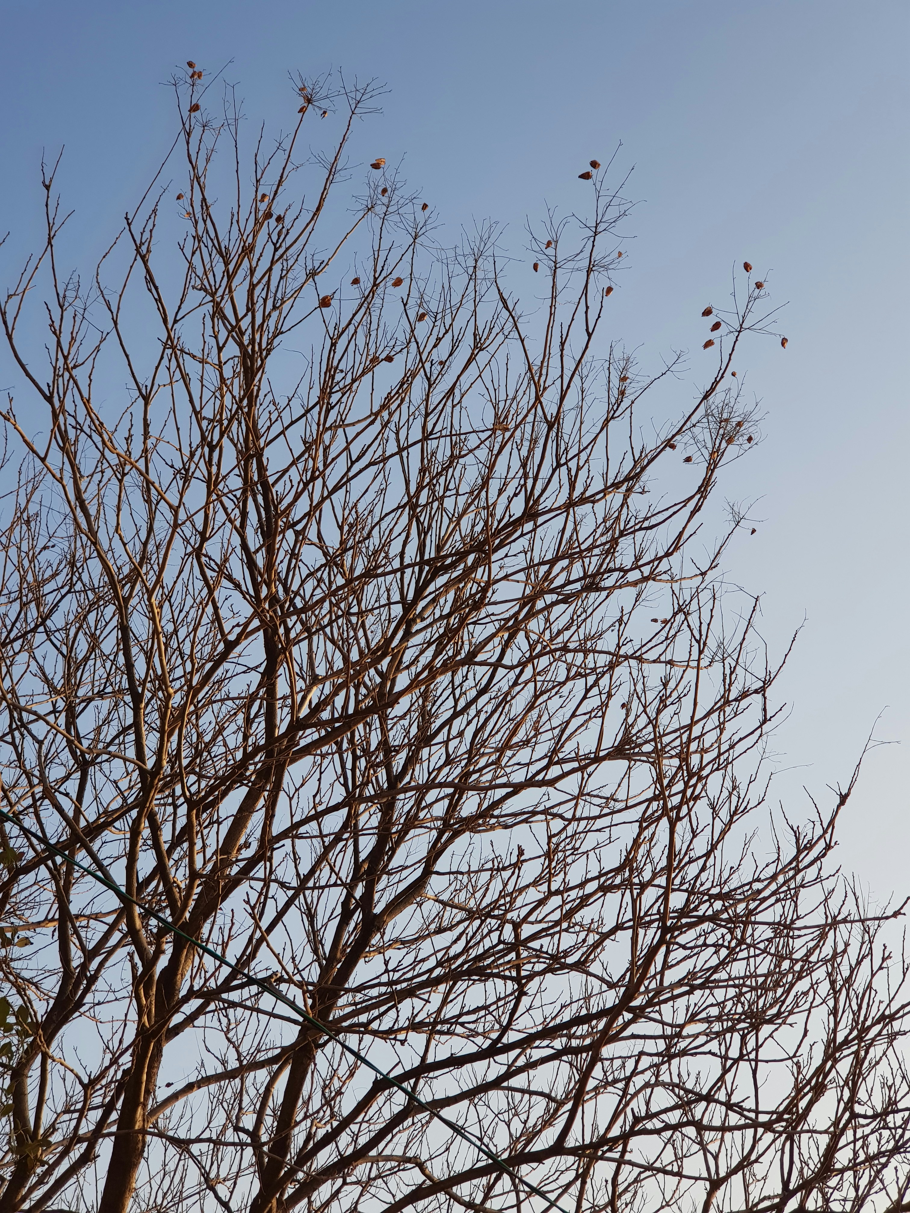 Photo by _picsby_ahal