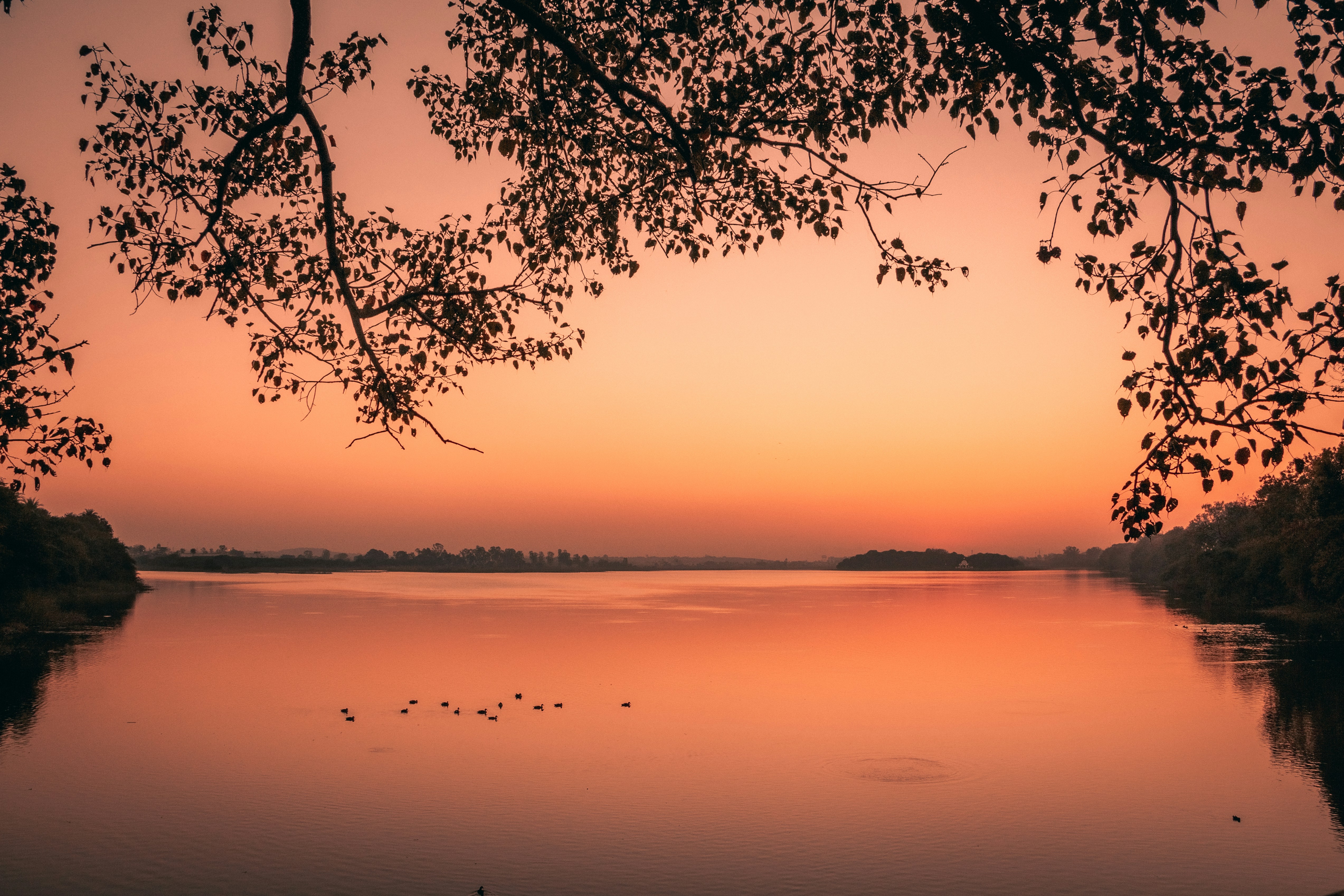 Photo by rushilologist