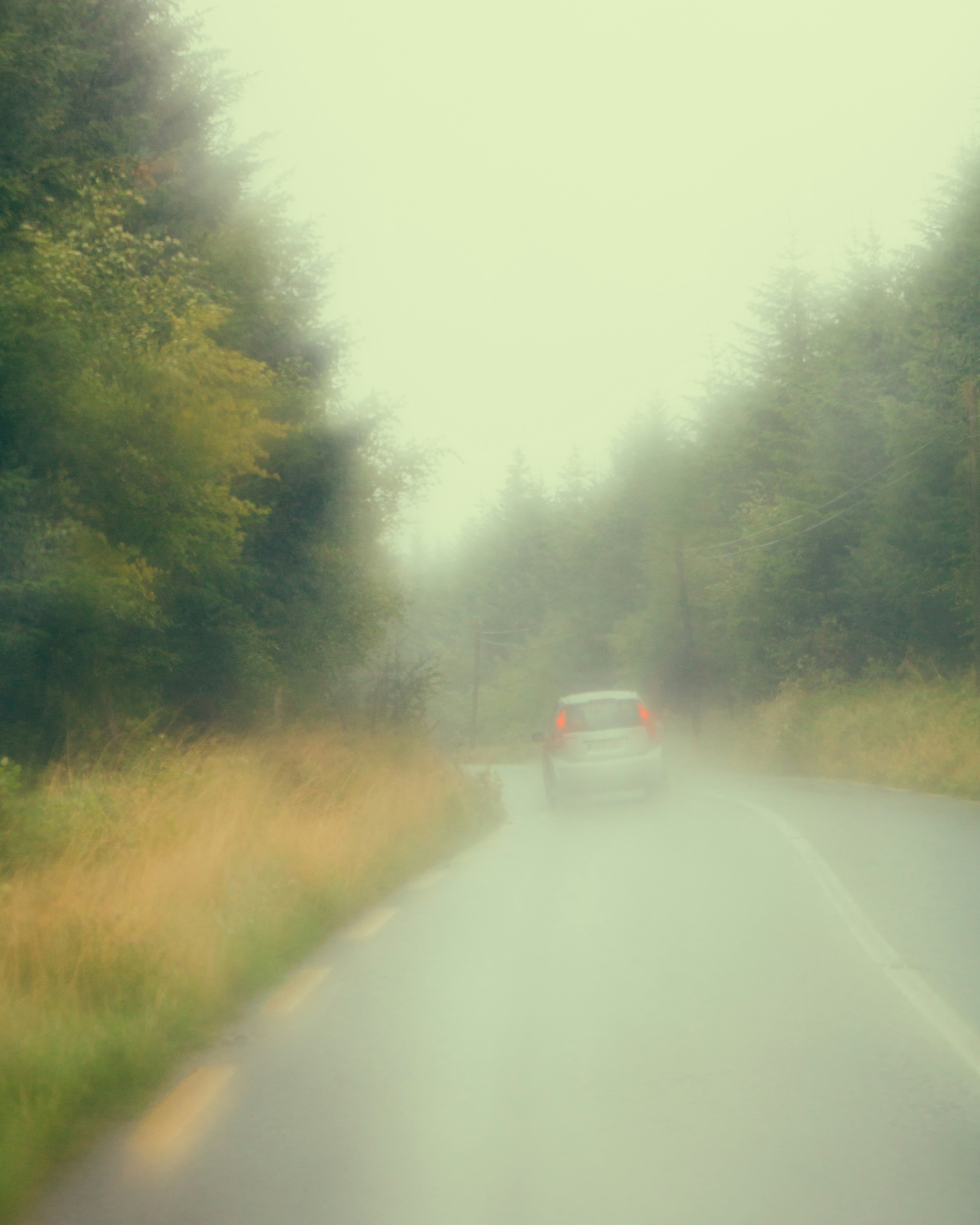 Photo by andreaferrario