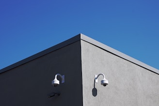 black and white wall lamp