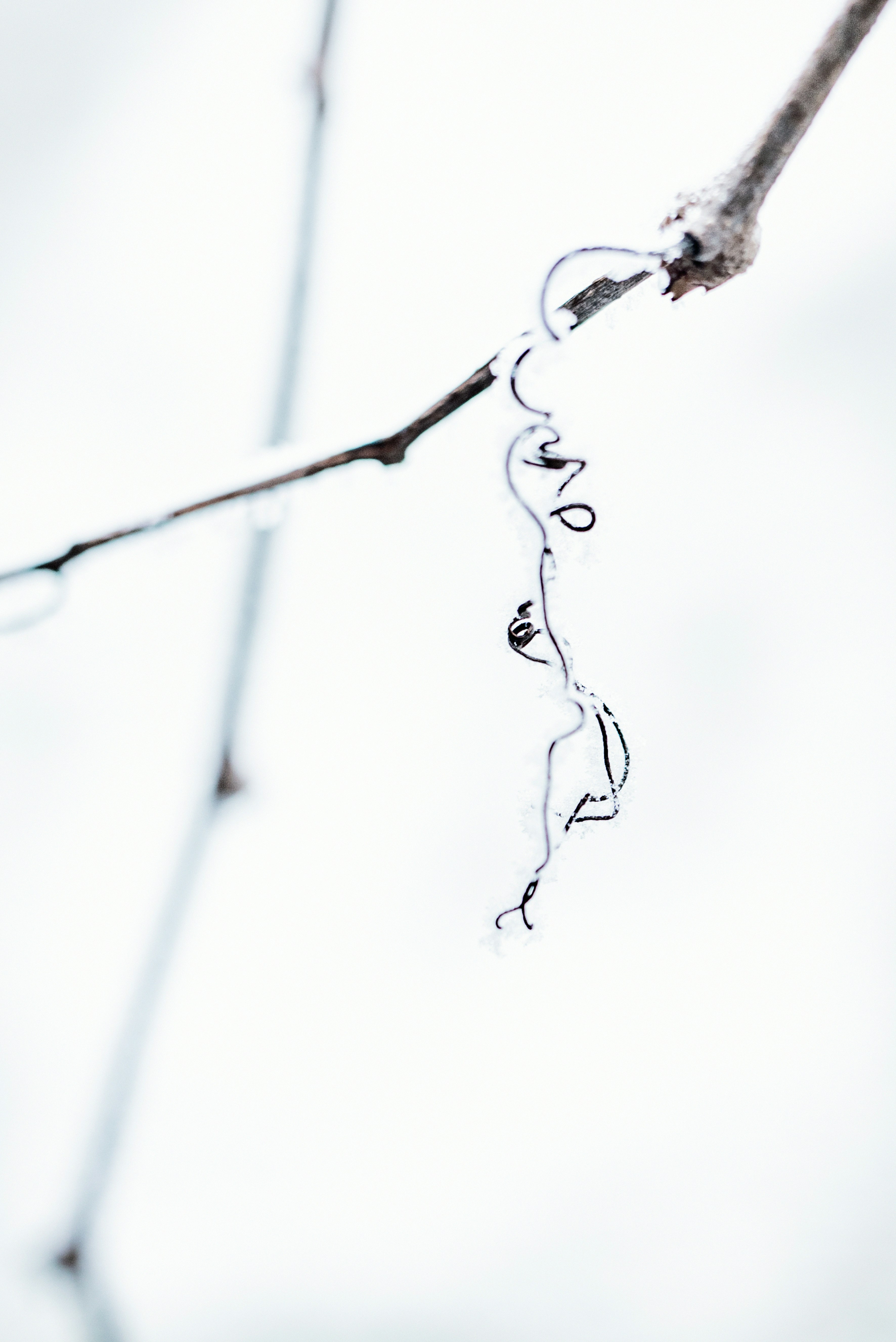 Photo by lauraadaiphoto